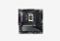 GIGABYTE B860M AORUS ELITE WIFI6E_0126709110243