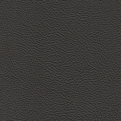 Искусственная кожа Bielastisch (Биеластиш) 238-1808