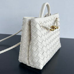 Bottega Veneta Small Andiamo 25 cm