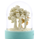 Любопытство