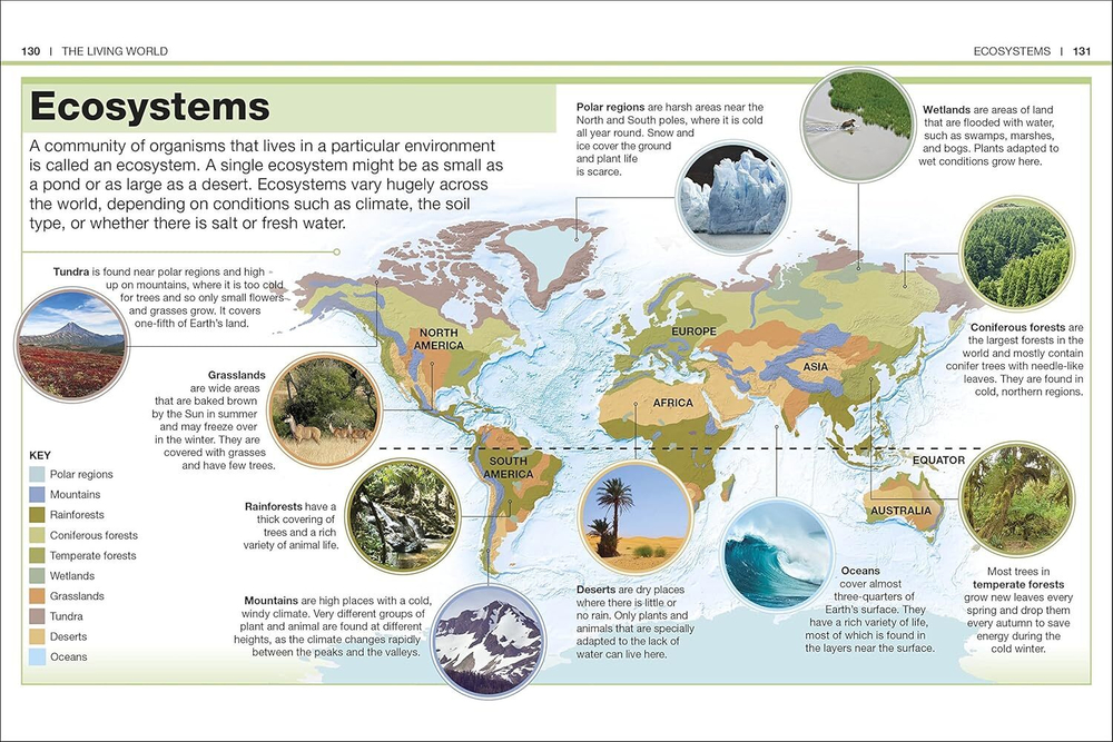 Science (Pocket Eyewitness)