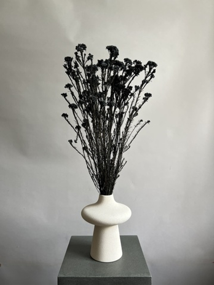 Озотамнус стабилизированный черный