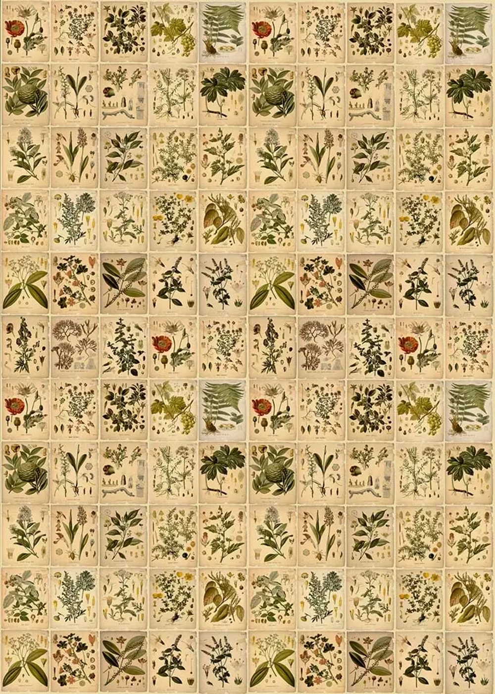 Цифровое панно ID Wall ENCYCLOPEDIA