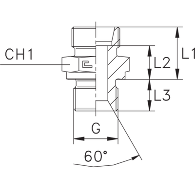 Штуцер FB DL35 BSP 1 (корпус)