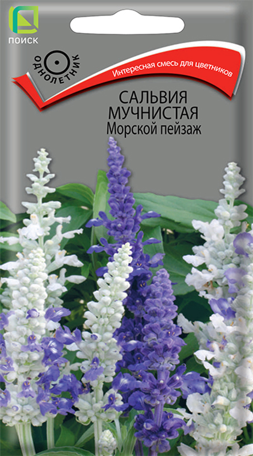 Сальвия мучнистая Морской Пейзаж