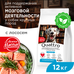 Корм сухой для взрослых собак крупных пород, премиум полнорационный комплекс, для поддержания активной мозговой деятельности, с лососем, 12 кг, QUATTRO