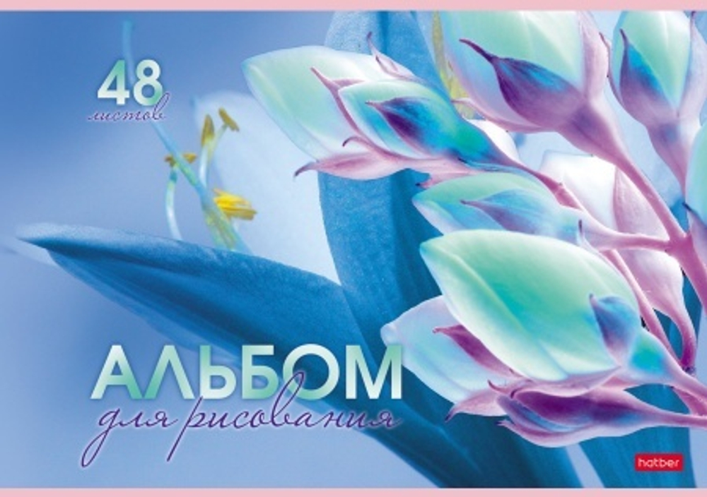 1z1kujc4dupa5mf08fin07z5n1x1vryg