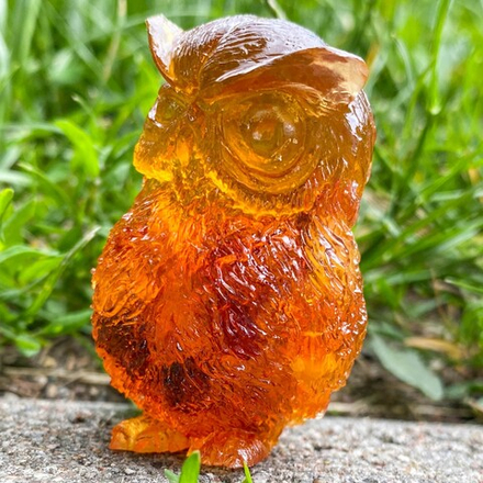 Сова подсматривает