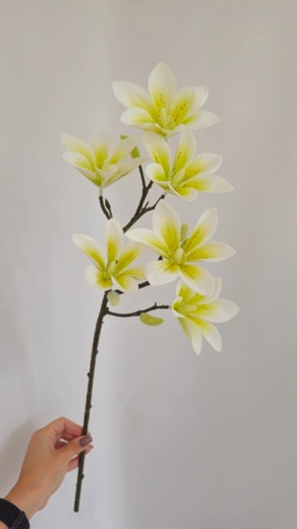 Магнолия / Арт 2135