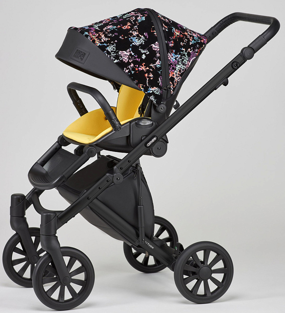 Детская коляска Anex e/type 2 в 1 art