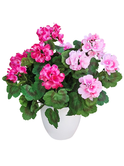 Искусственная Герань малиново-розовая густая 40см в белом кашпо