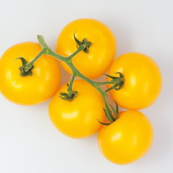 ГУАЛЬДИНО F1 семена томата цена – фото 2