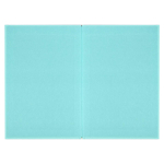 Ежедневник недатированный А5 80л. "Шедевр" (Феникс+)