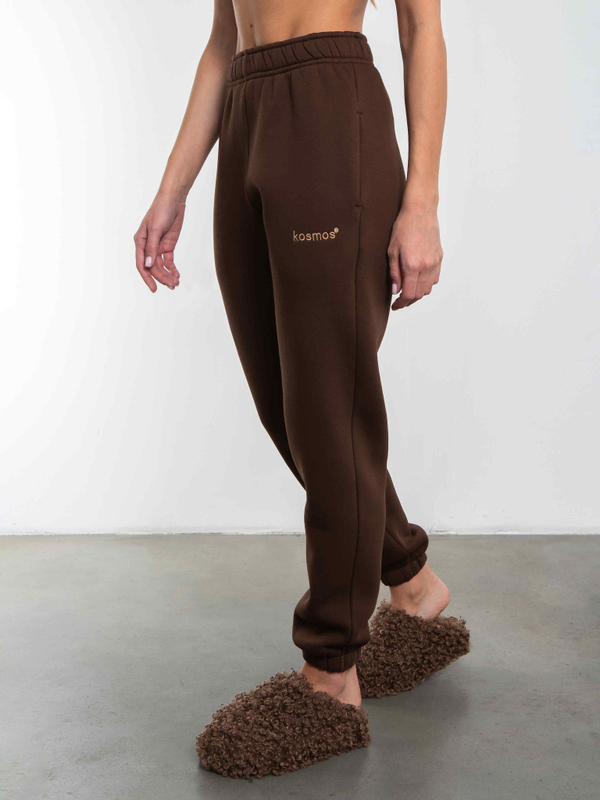 Брюки джоггеры женские коричневый с начесом