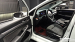 Volkswagen Golf 8 Generation 2.0 TDI Prestige (07.2023)