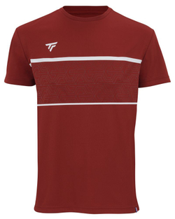 Мужская теннисная футболка Tecnifibre Team Tech Tee - красный