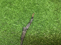 Проводка переднего бампера BMW 3er G20 (2018-н.в.)