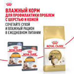 Royal Canin Siberian Adult Сибирская Эдалт Корм сухой для взрослых кошек сибирской породы от 1 года и старше 400г
