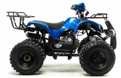 Квадроцикл Motoland 125 FOX
