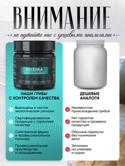 Веселка обыкновенная (Phallus impudicus) капсулы 60 штук по 600 мг.