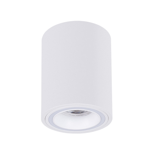 Точечный накладной светильник Arte Lamp IMAI A2267PL-1WH