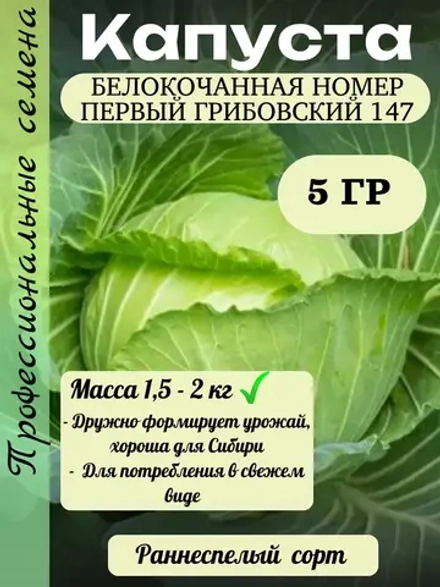 Семена капуста белокочанная Номер первый Грибовский 147 5 гр