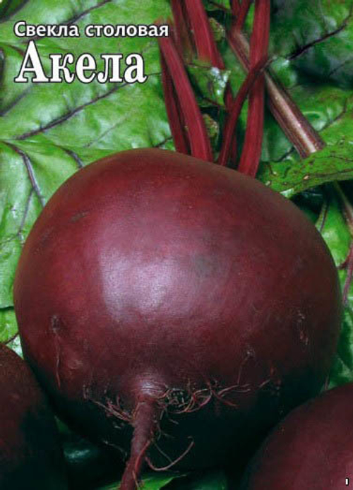 Свекла столовая Акела