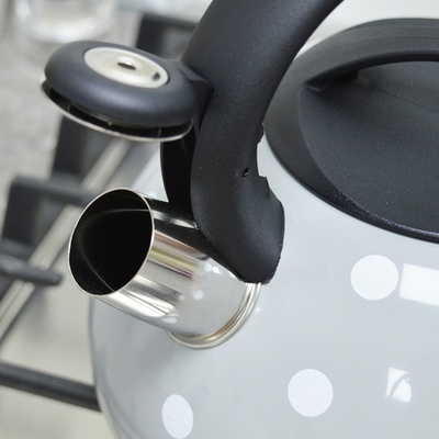 Чайник 3л нерж "Fanhoff" (69690)