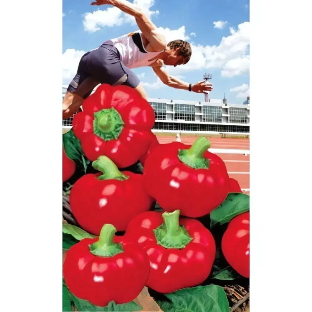 Семена Перец сладкий Спринтер (УД) Е/П