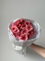 Букет из гербер в нежно-розовом оттенке 21 шт