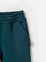 Джоггеры "Атлантик" с карманами утепленные