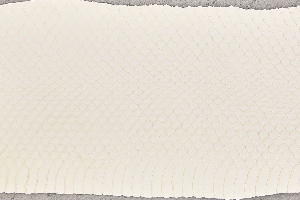 Кожа змеи 780х100мм (белая матовая)
