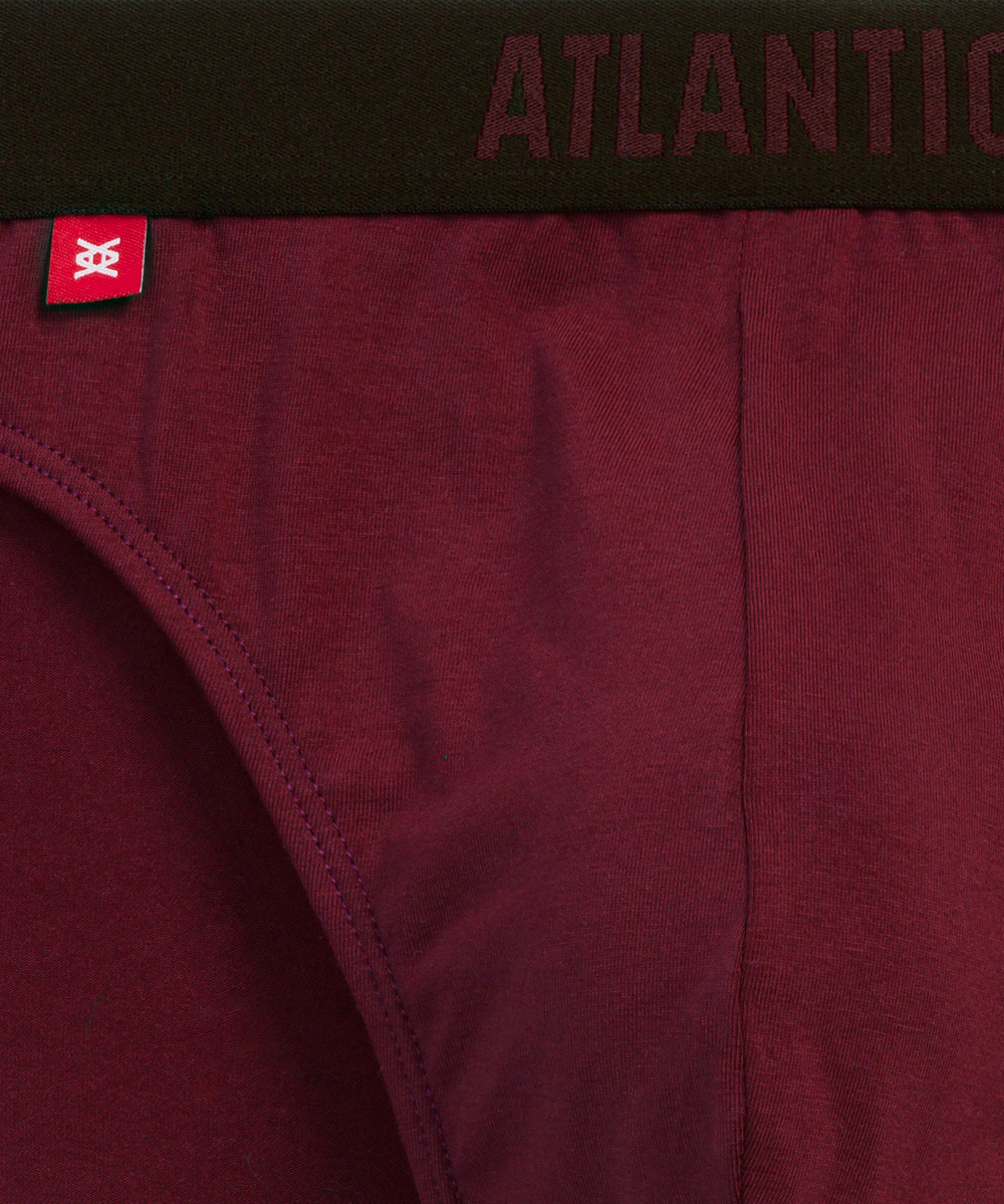 Мужские трусы слипы спорт Atlantic, набор 3 шт., хлопок, черные + изумрудные + каберне, 3MP-094