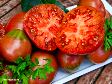 Древнее сердце Равенны (Cuore Antici di Ravenna) сорт томата