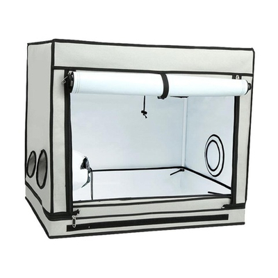 Гроутент HOMEbox Ambient R80S