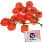 Муляж «Ветка помидоры Черри красные» 22см