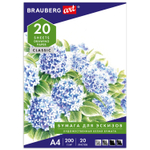 Папка для рисования А4 20 л. 200 г/м2 BRAUBERG 210х297 мм "Сирень" (7 штук в упаковке)