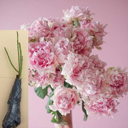 Роза Кэнди Флоу спрей кустовая саженец с ОКС.