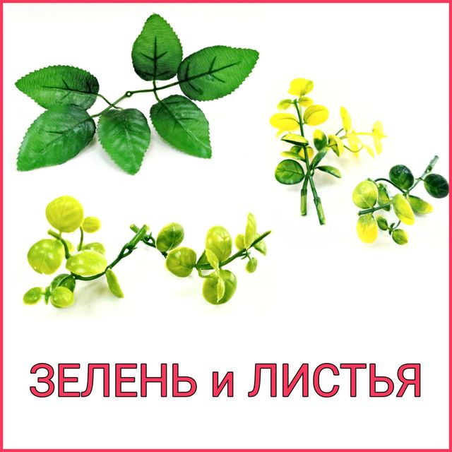 ЗЕЛЕНЬ и ЛИСТЬЯ