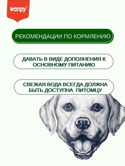 Wanpy Dog Лакомство для собак "Зубные щетки со вкусом говядины" 100 г