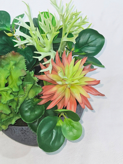 Искусственная Зелень с суккулентами 35см в чаше Лофт