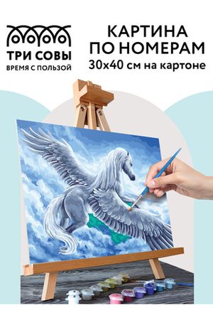 Картина по номерам "Пегас", 30х40 см