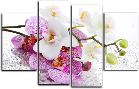 Модульная картина "Мокрая орхидея"