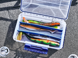 Виброхвост LJ 3D BBS Series KUBIRA SWIM SHAD 9,0in (22,86)/PG25 1шт.+Stinger L