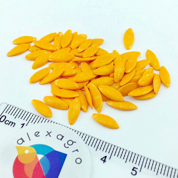 Гуннар F1 семена огурца партенокарпического (Enza Zaden / ALEXAGRO) семена – фото 6