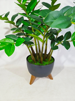 Замиокулькас искусственный 75см в темном кашпо на ножках