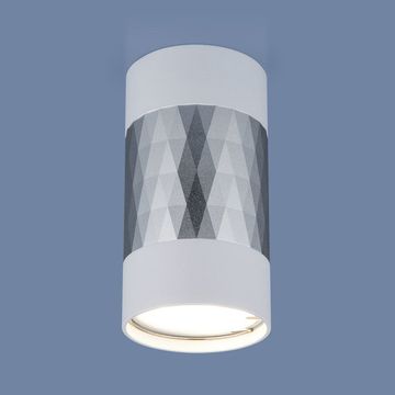 Накладной точечный светильник DLN110 GU10 белый/серебро Elektrostandard