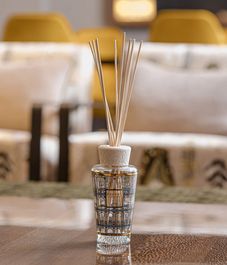 Roma, аромадиффузор My first Baobab, Baobab Collection