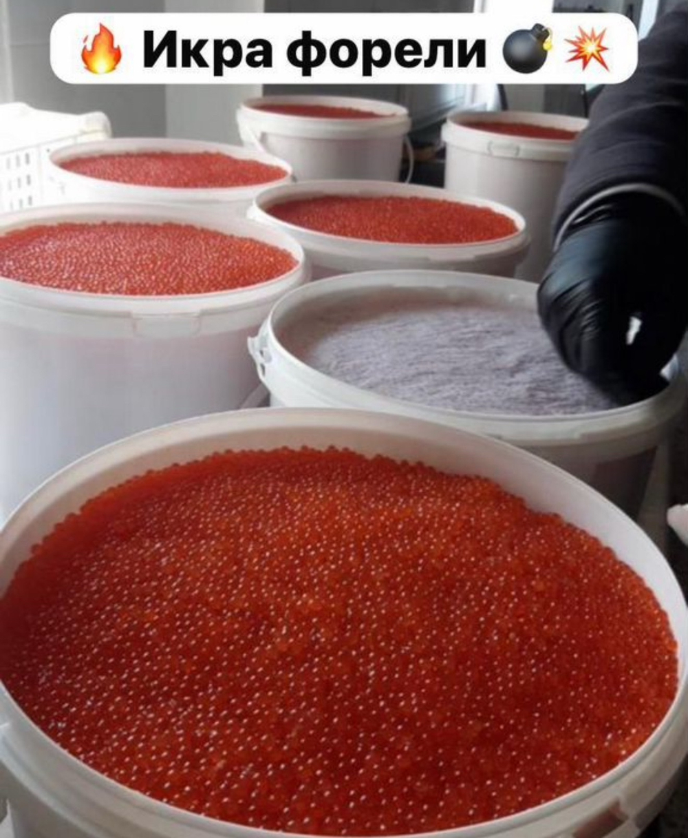 Икра Форели Забойная Премиум Качество (Сухая, Малосольная) (Фасовка от 0.250гр)