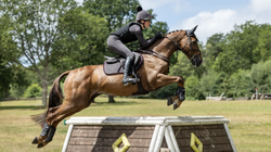 Вальтрап конкурный LeMieux Suede Close Contact Square Cinder